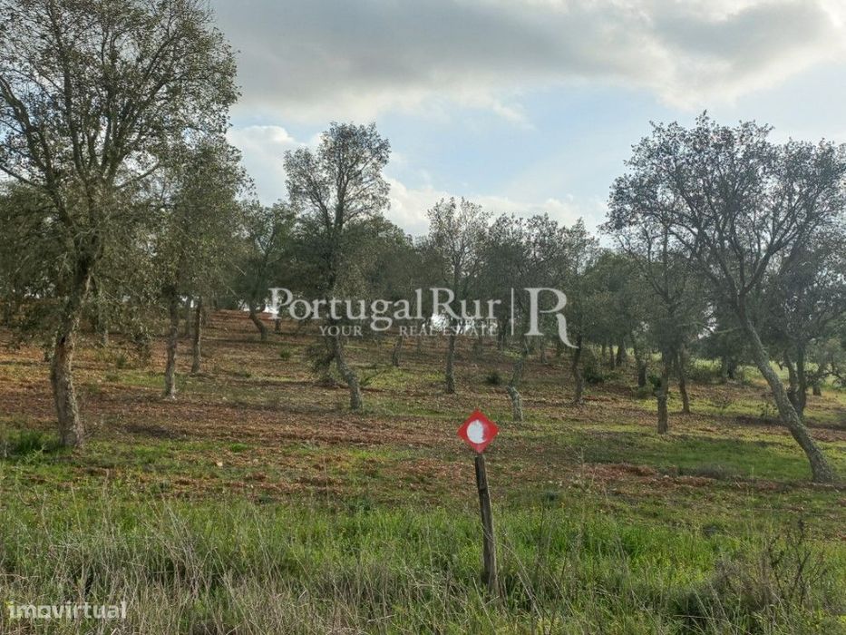 Terreno em Serpa com Viabilidade para Construção — Serpa (Salvador E Santa Maria), Beja