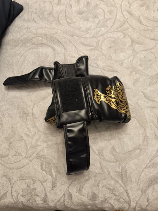 Luvas boxe ou Muay Tai