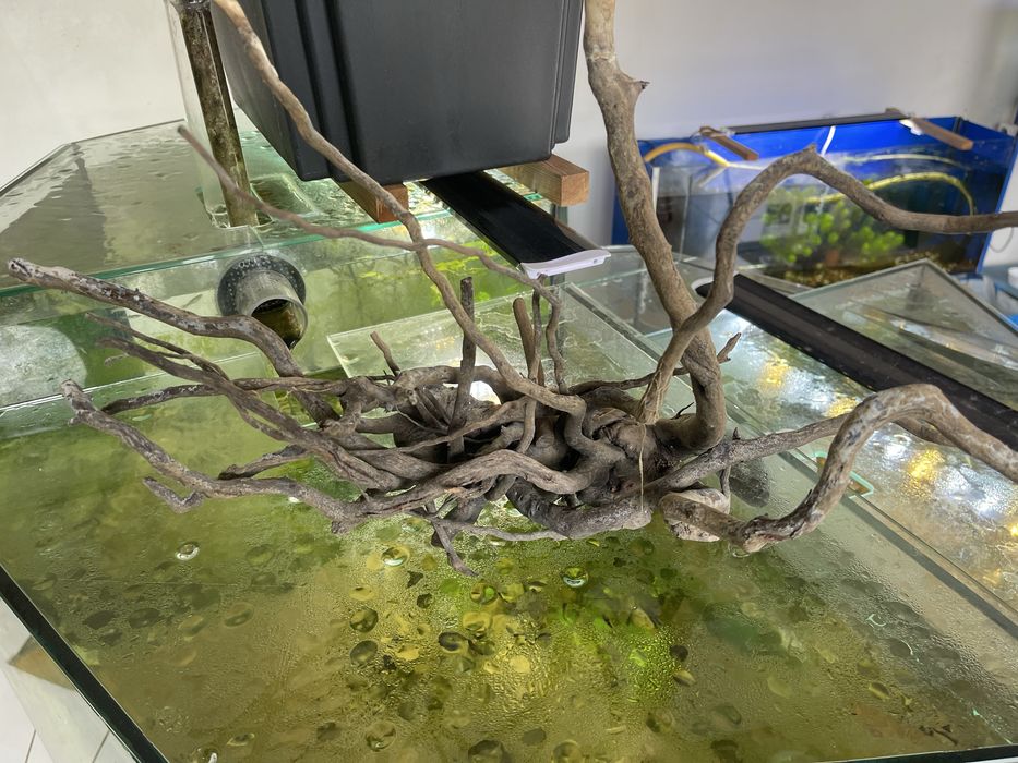 Ramos para decoração de aquário