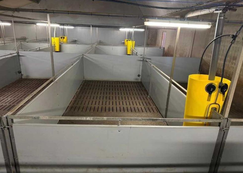 Обладнання для свинарства, пвх перегородки