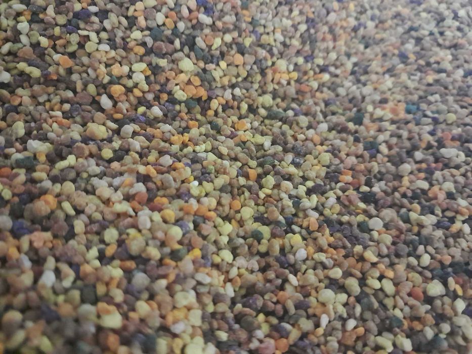 pyłek świeży pszczeli kwiatowy matki roje ule odkłady