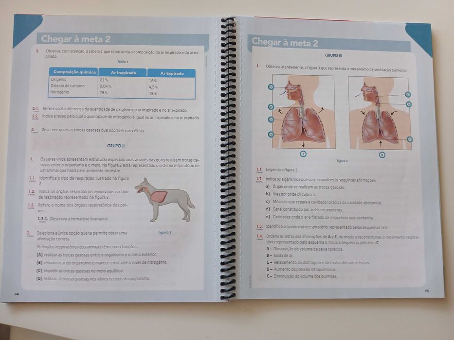 Caderno de Atividades Ciências 6º Ano
