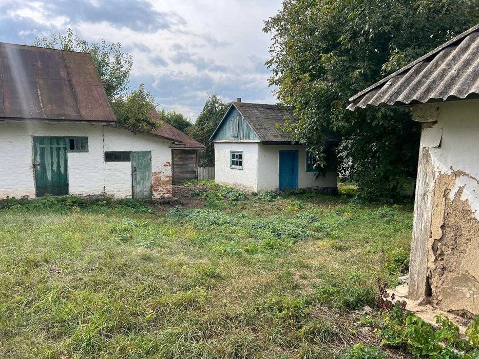 Будинок,Вільшана,земельна ділянка