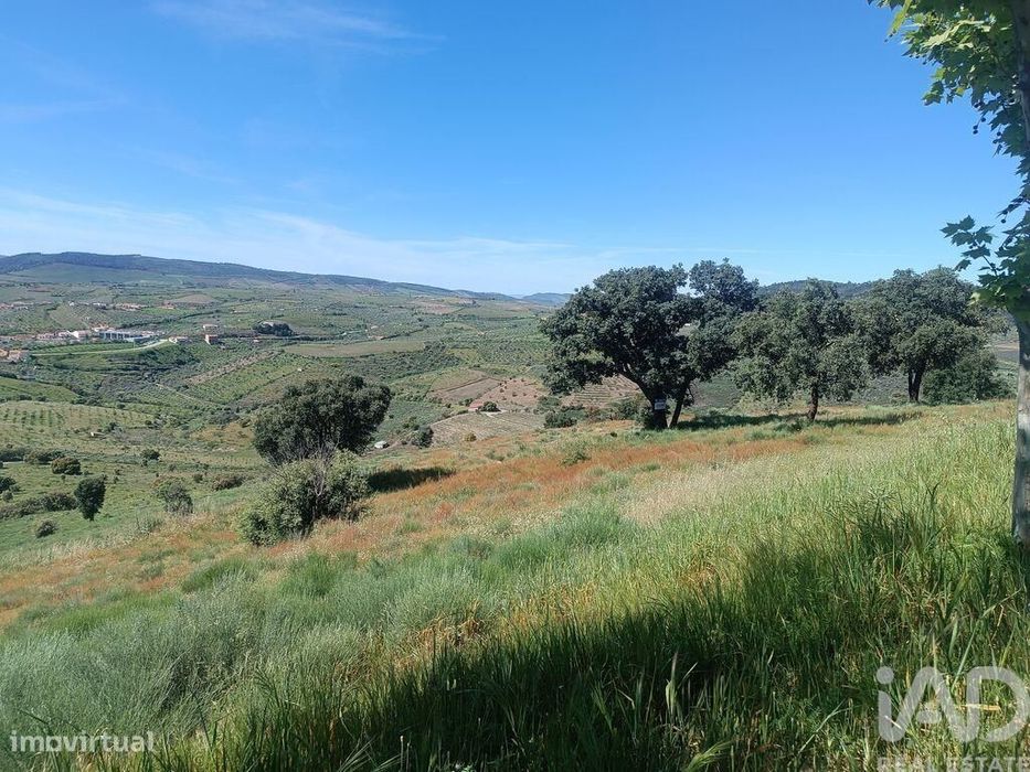 Terreno em Freixo de Espada à Cinta e Mazouco de 49572,00 m2