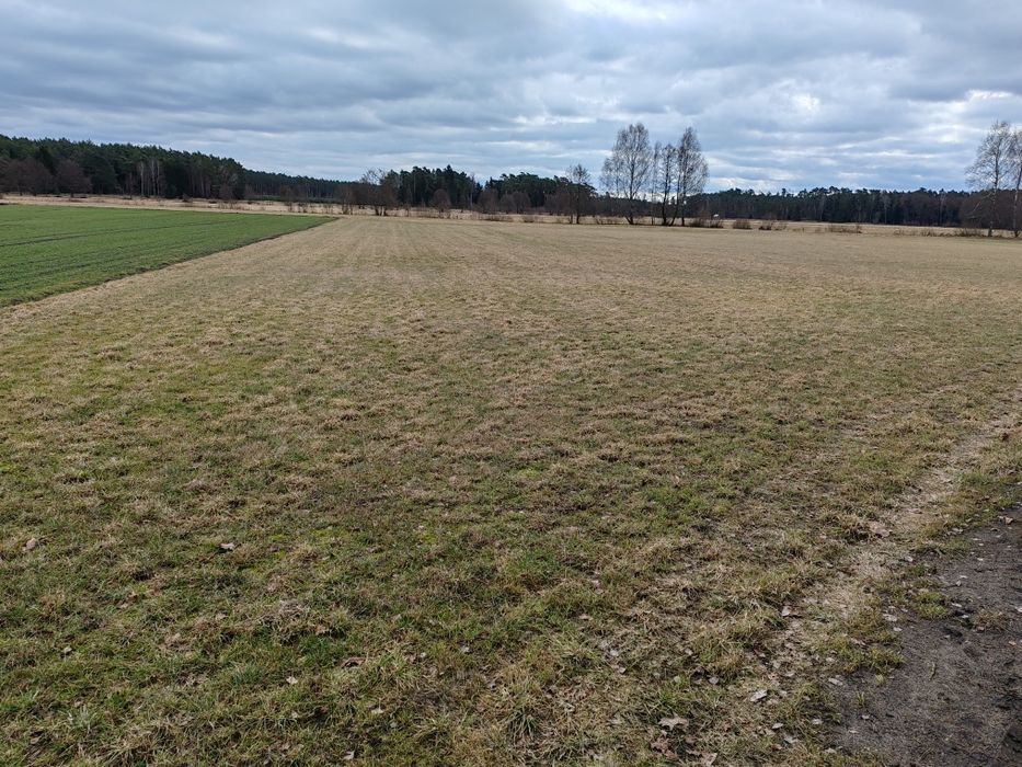 Sprzedam grunty rolne