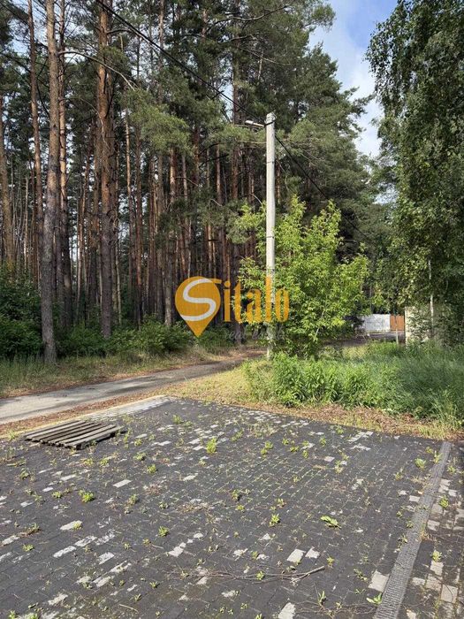 Сучасний будинок біля лісу. Гнідин Без%