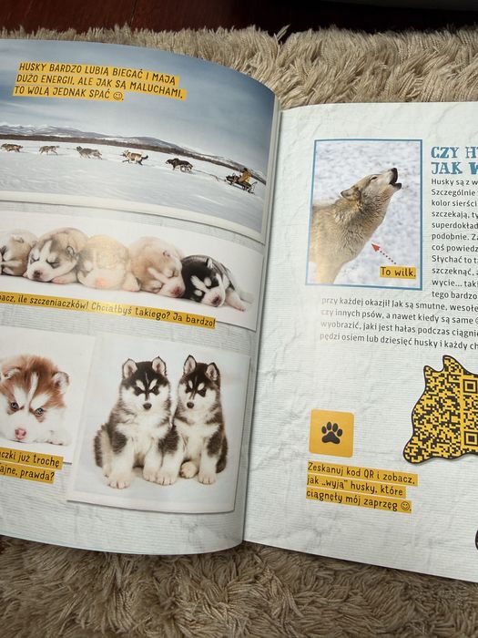 Nela na kole podbiegunowym książka