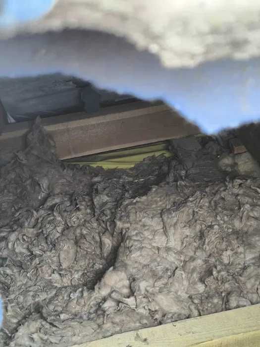 Naprawa docieplenia po kunie celulozą docieplenie pianka pur strop dach stropodach