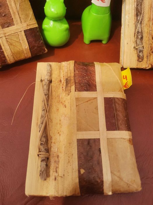 Canetas E cadernos vegetais