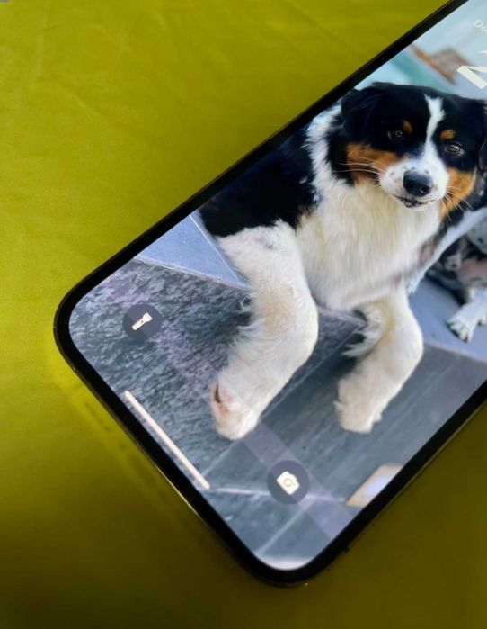 iPhone 12 Pro Max Dourado (128gb)