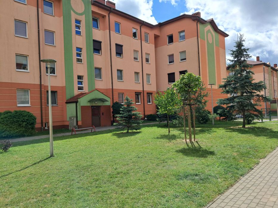 Mieszkanie do wynajęcia 47m2 w Kaliszu Dobrzec ul. Armii Krajowej