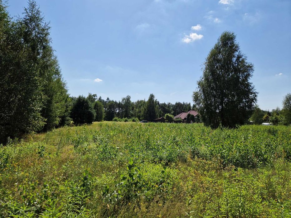 Działka budowlana 2210 m² | MPZP | możliwość podziału - Widok 5