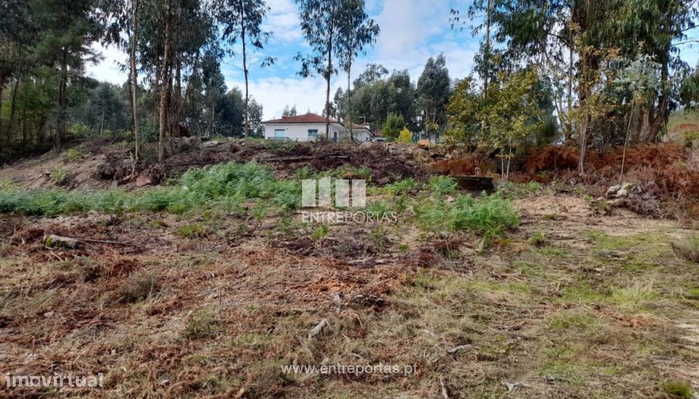 Venda Terreno, Travanca, Amarante