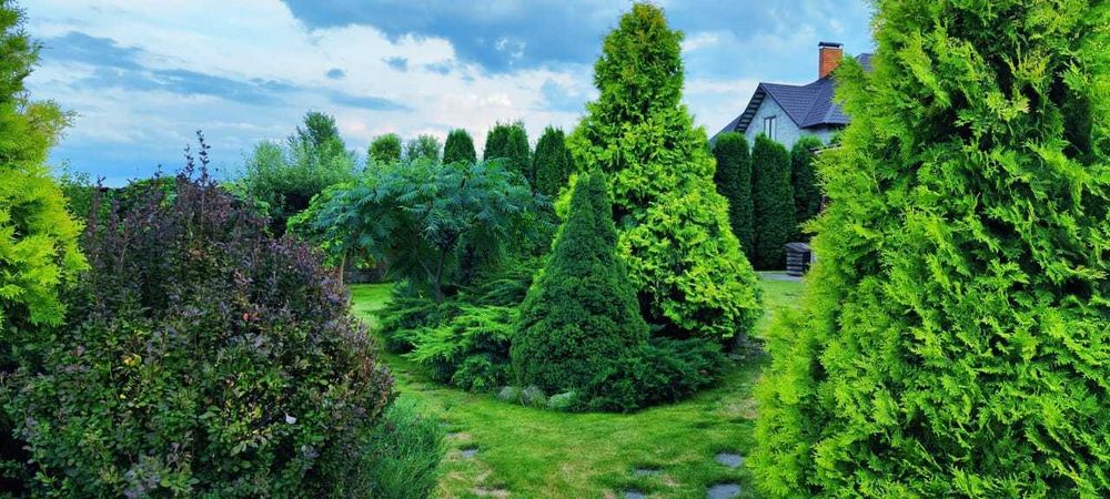 Будинок з ремонтом, меблями і технікою в передмісті Києва