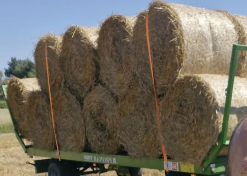 Sprzedam słomę pszeniczną w balotach