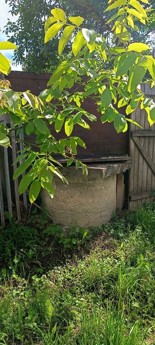 Продам будинок !!!