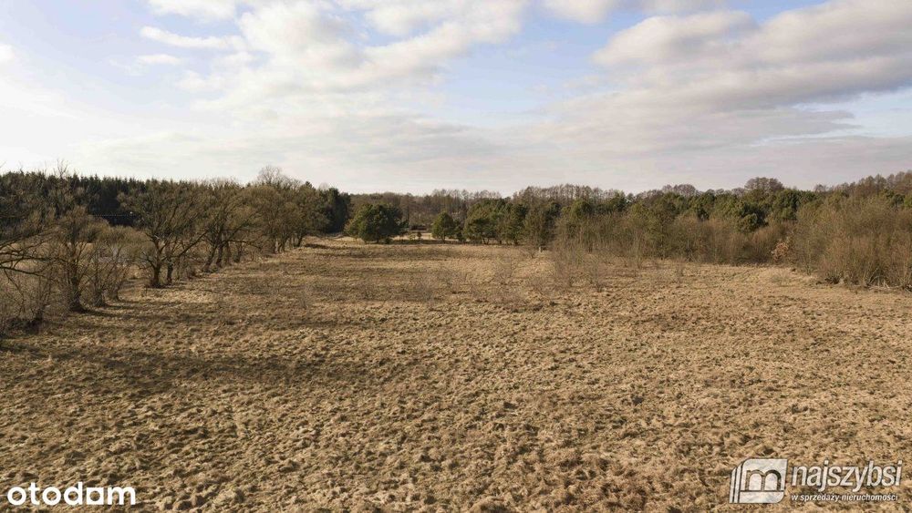 Krępsko - działka 3000 m2 otoczona naturą