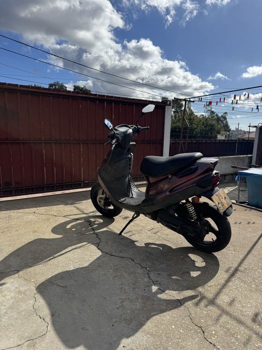 Macal CY 50