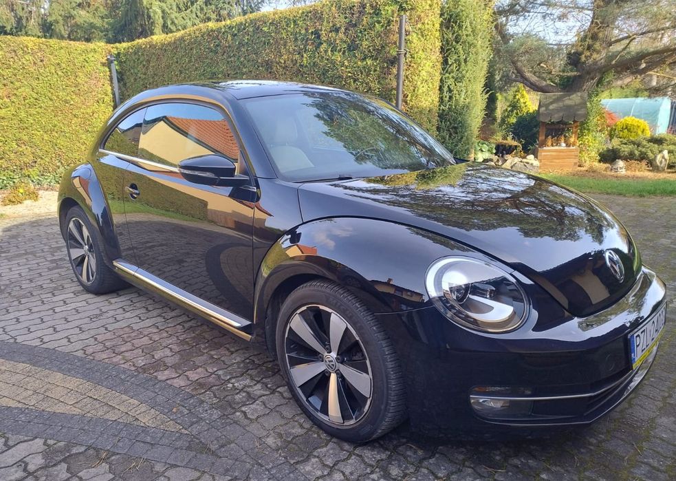 Volkswagen Beetle