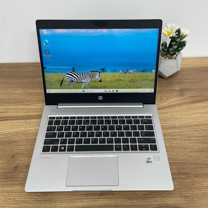 hp probook 430 g7 - купити ноутбуки - Ціна на OLX.ua