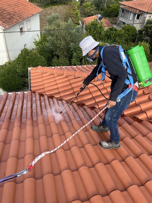 Lavagem e manutençao de telhados