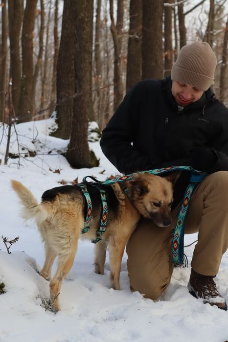 Szukamy domu dla Ozziego