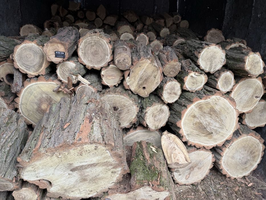 Без предоплат,акация,дуб ясень