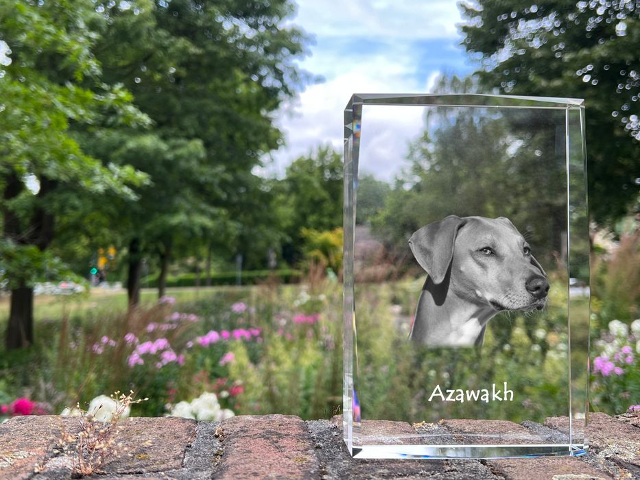 Chart afrykański, Azawakh kryształ z psem Art-Dog