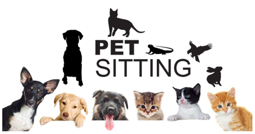 Pet-Sitting Vila Franca de Xira em ambiente familiar