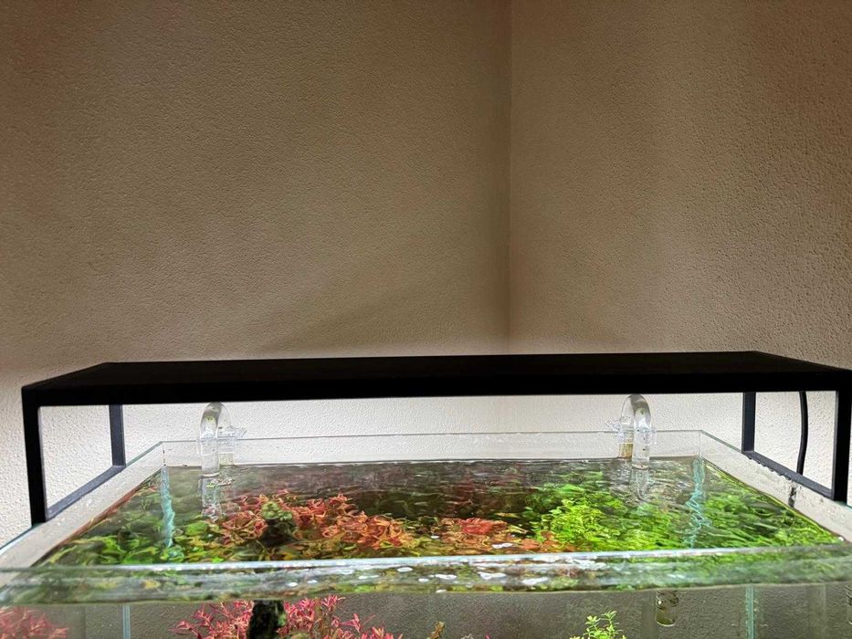 Chihiros WRGB II SLIM 60 cm LED