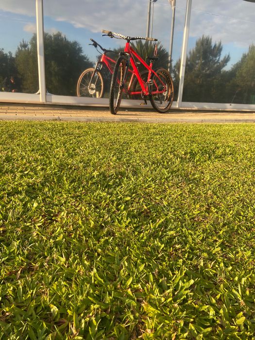 Vendo bicicleta de grau