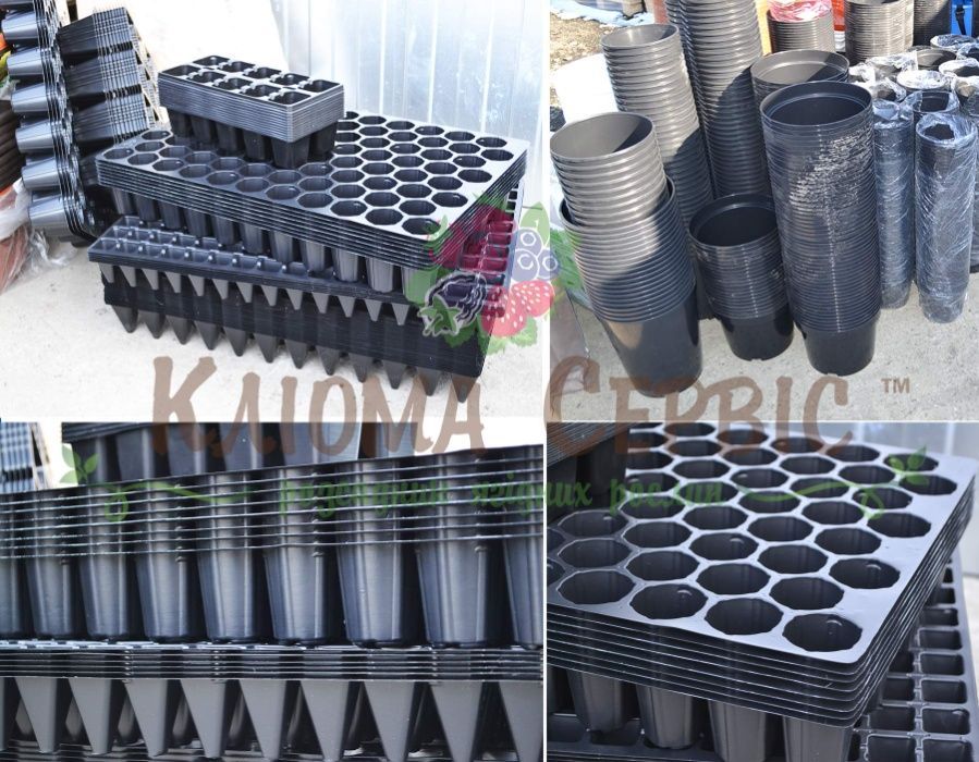 Касети для Розсади на 30, 40, 96, 160, 260 Польща (Roko), Гурт, ПДВ