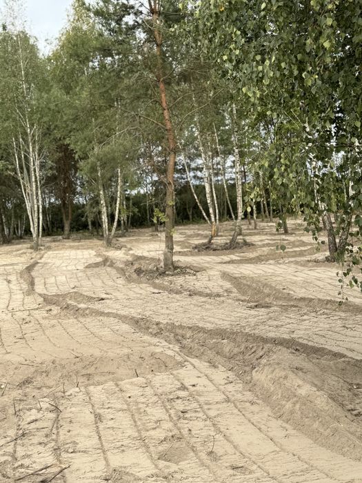 Mulczer Wgłębny Frezowanie pni Czyszczenie działek pod inwestycje