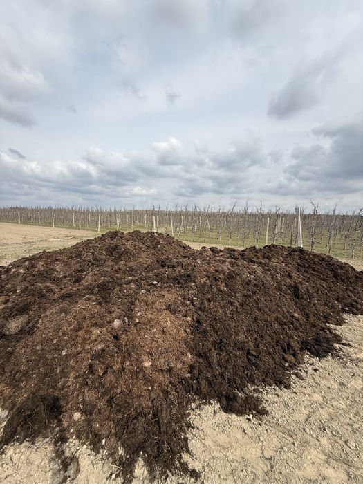 Podłoże pieczarkowe klasy B
