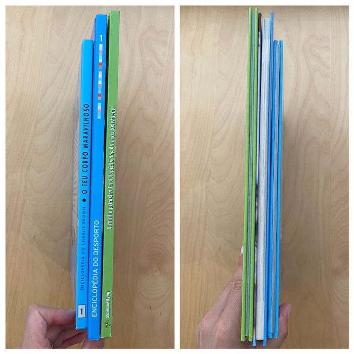 Enciclopédia do desporto