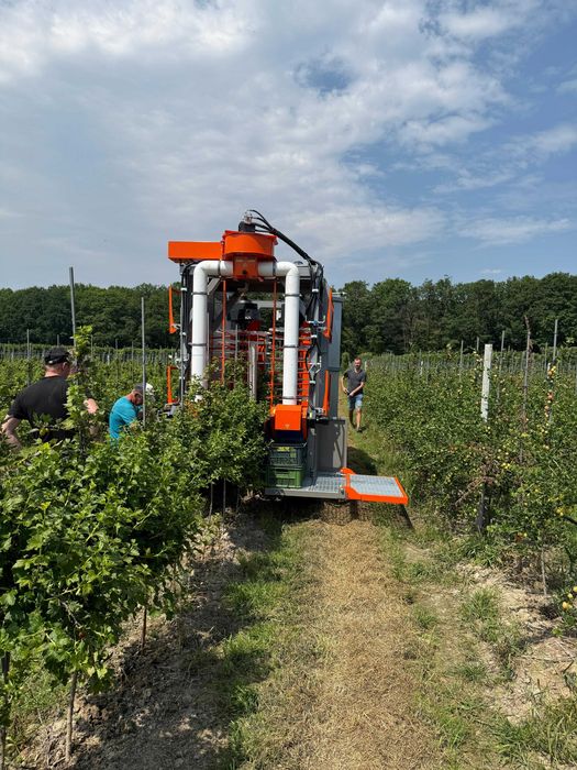 Kombajn do Borówki, Agrestu, Jagody Kamczackiej, NELSON V2