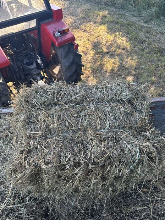 Swieże Siano w kostkach 2025