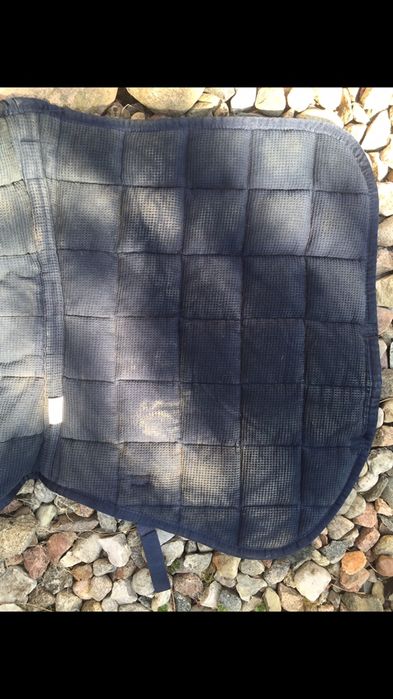 Eskadron Mango Navy Komplet BS