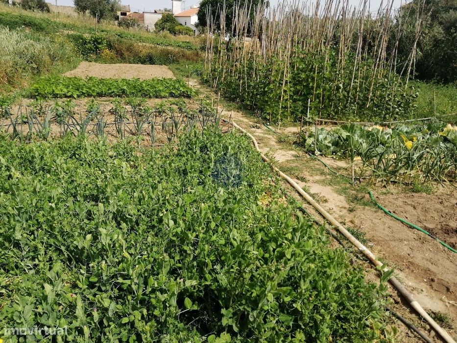 Terreno de 2874 m2 c/ projecto p/ 9 fracções.