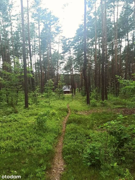 Działka rekreacyjna na sprzedaż 1000m