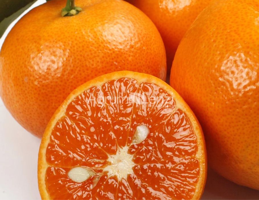 Citrinos Raros Plantas Certificadas