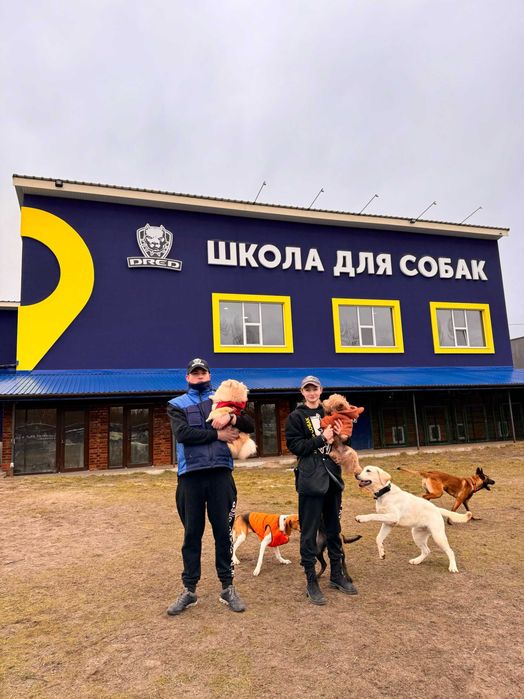 Навчання дресирування собак Кінолог у Гореничі Боярка Пуща Горенка