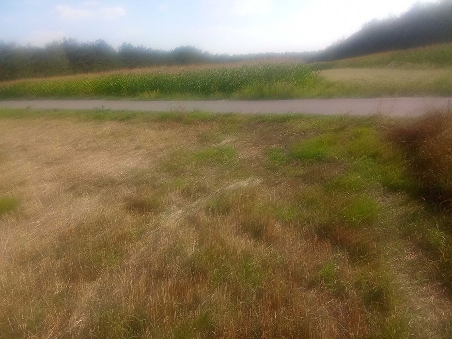 Działka budowlana 51 arów z widokiem na naturę – idealna pod dom i duży ogród