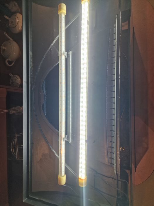 Akwarium 112l wraz z akcesoriami