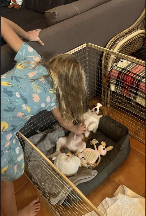 Манеж, Вольер, Клітка, Клетка для собак, щенков, кошек, котят,кроликов