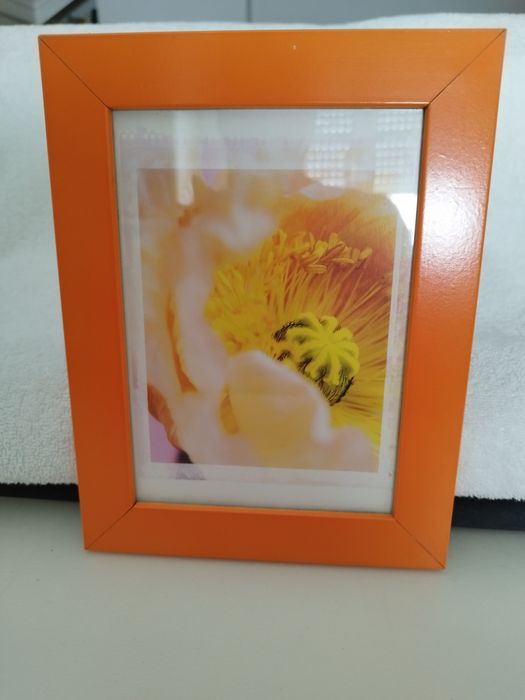 Molduras de Parede64740464573698121