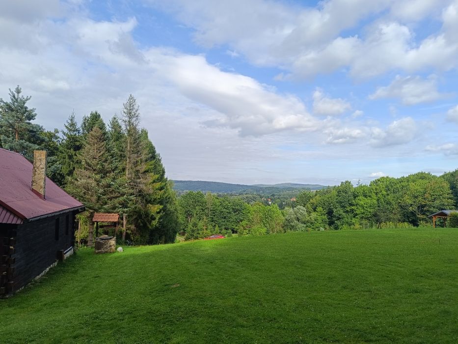 Rekreacja, noclegi, domek letniskowy, leśne zacisze, nad stawem.