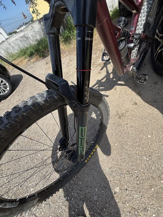 Specialized status 2021