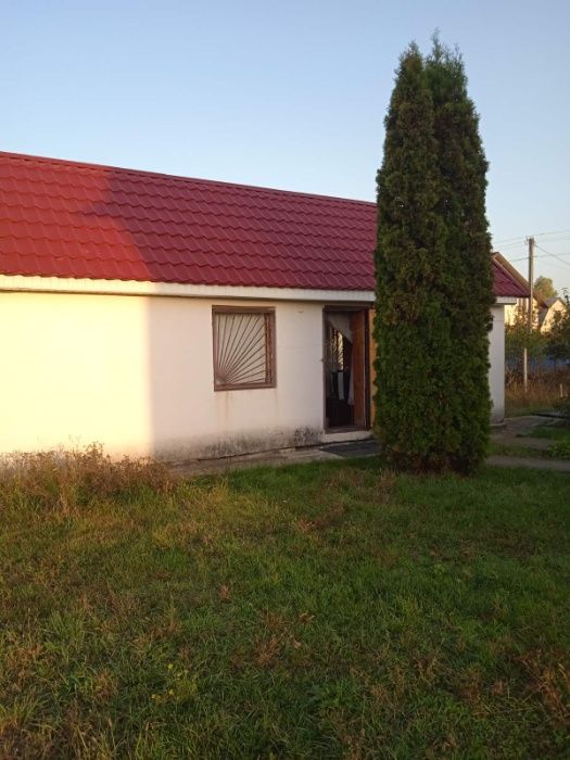 Дача и дачный участок в СТ(Лазурное), С.Процев 40км от Киева