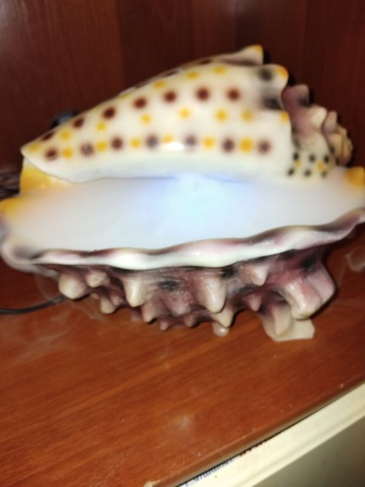 Увлажнитель воздуха ракушка